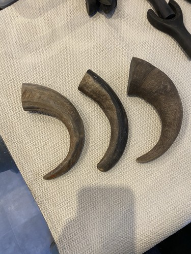 Raw buffalo horn - for, walking