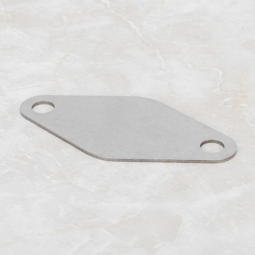 Egr delete blanking plate - /egr,