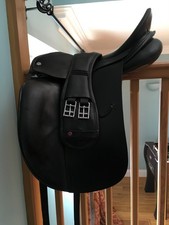 albion platinum dressage