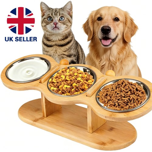 3in1 raised dog bowl cat - cat, food