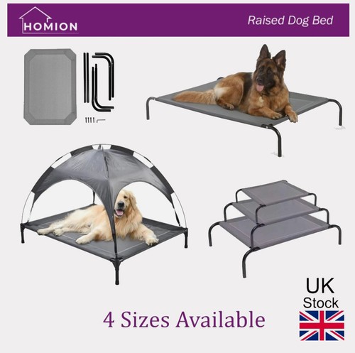 Raised dog bed - dog, cot