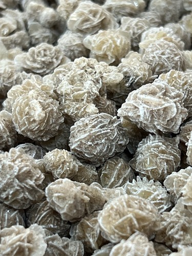 X15 selenite desert roses - desert,