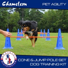 Outdoor Dog Pet Agility EX