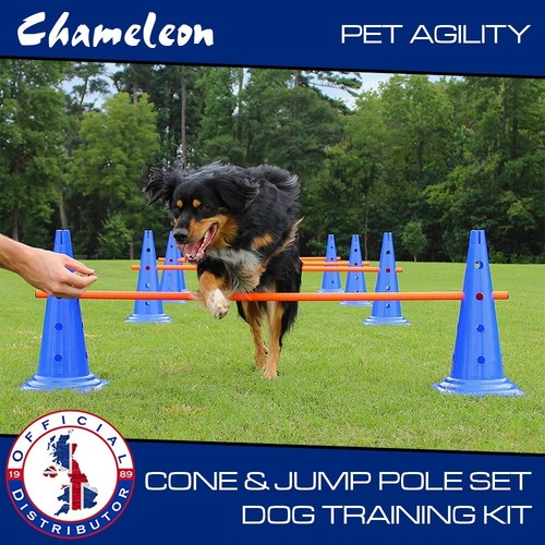 Outdoor dog pet agility - outdoor,