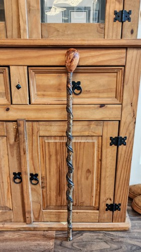 Twisty twisted wood hazel - twisted,