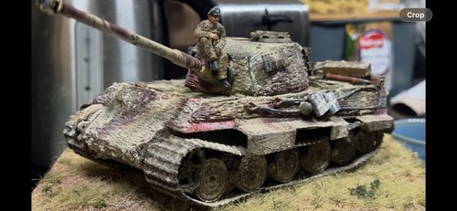 King tiger scale - , built