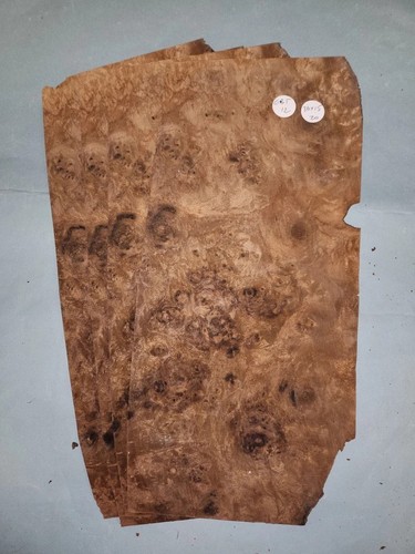 American walnut burr veneer - walnut,