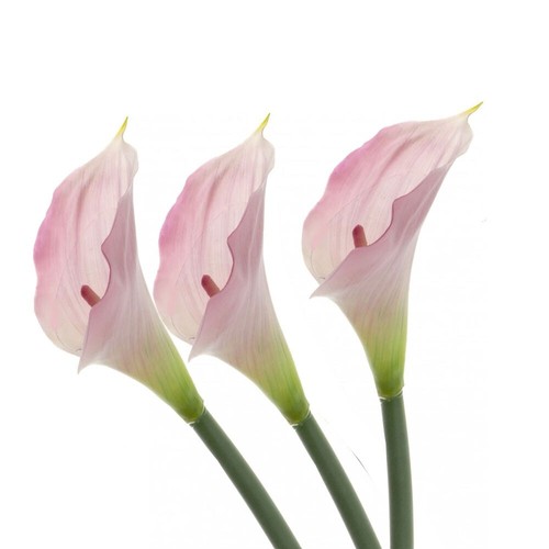 Artificial real touch calla - artificial,