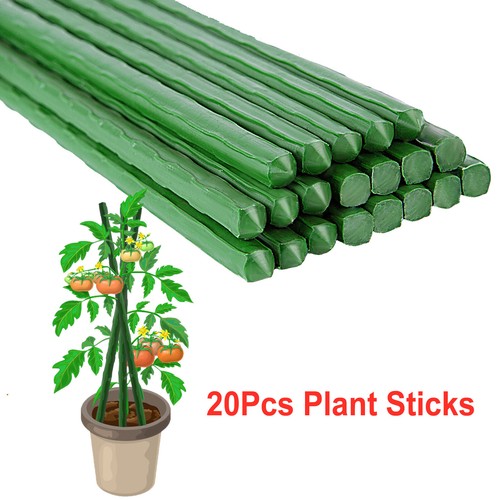 20x green garden plant - garden,