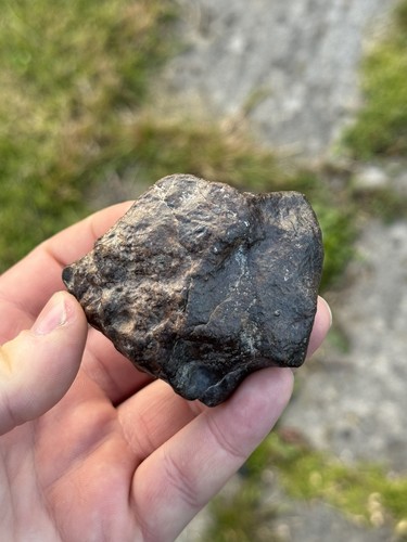 Meteorite fusion crust - crust, 253g