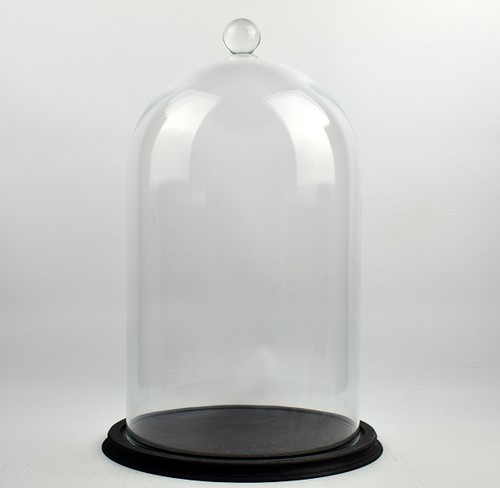 Clear circular glass dome with - clear,