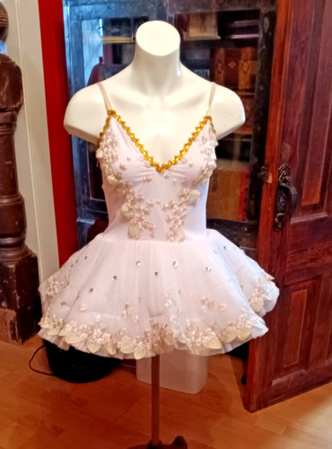 Professional ballet tutu - professional,