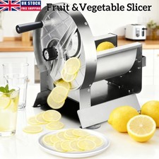 Electric Vegetable Fruit