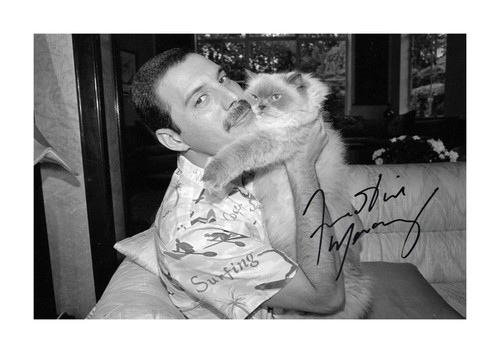 Freddie mercury his - freddie,