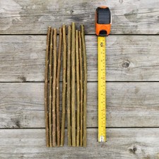 10 X Hybrid Willow Premium Cuttings. Fast Growing Over 6 Metres a Year.