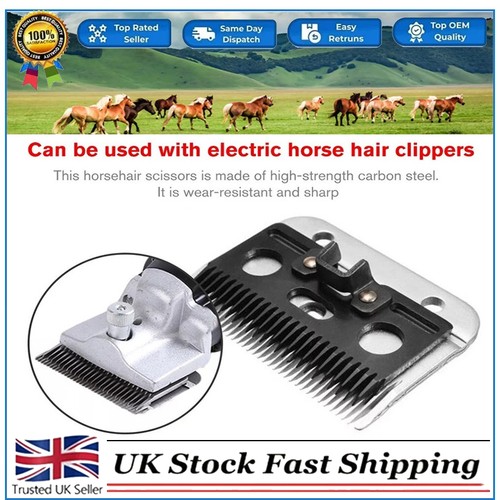 Heavy duty medium - medium, horse