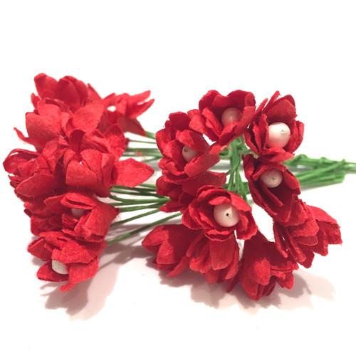 Deep red mulberry - deep,