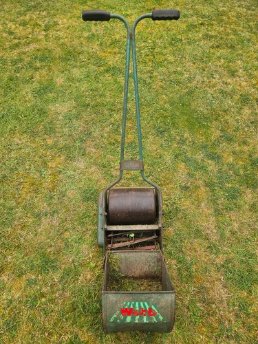Webb whippet vintage - whippet,