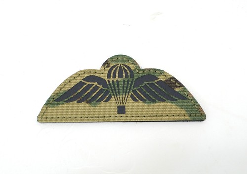 British army para wings - army,