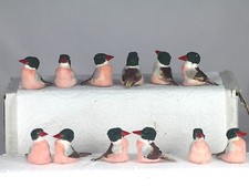 3.5cm FEATHER BIRD MODEL - SET