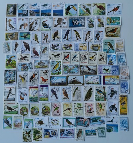 Birds stamps collection - collection, 100