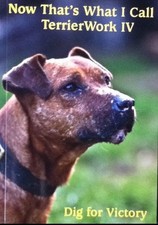 Now That's What I Call Terrier