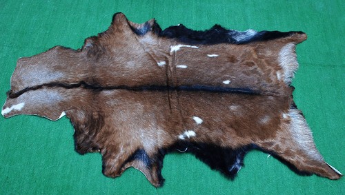 Luxury goat hide - luxury,