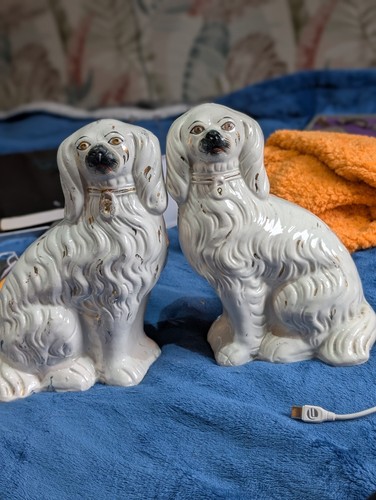 Vintage staffordshire spaniel - vintage,