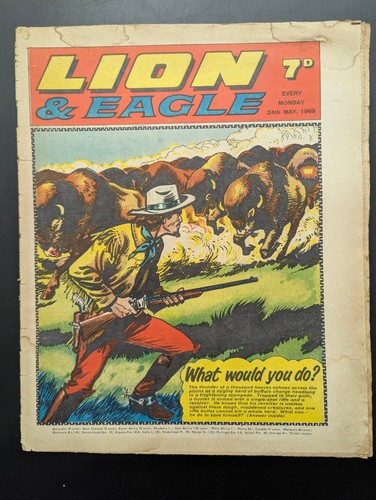 Lion and eagle comic - lion,