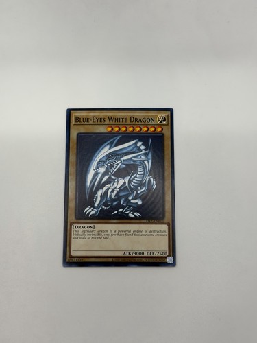 Yugioh blue eyes white dragon - white,