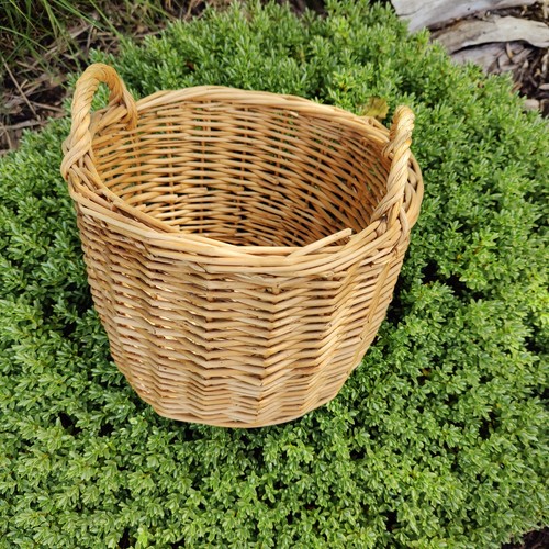 Vintage basket handles pot - basket, 2