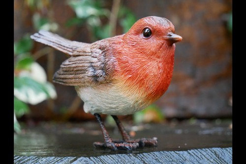 Bird ornament small robin - ornament,