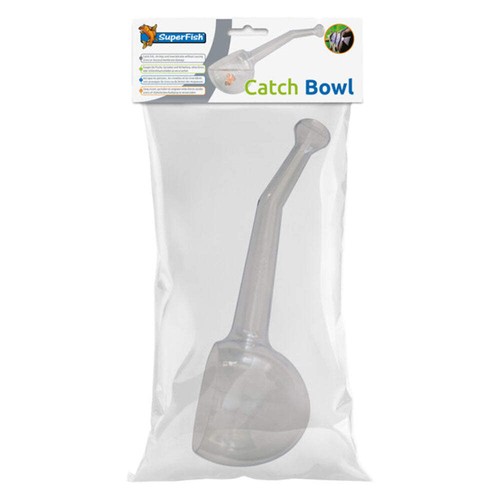 Superfish aquarium fish - superfish,