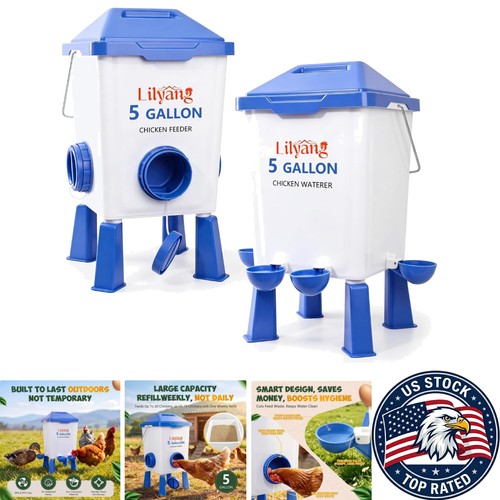 Automatic gallon chicken - automatic,