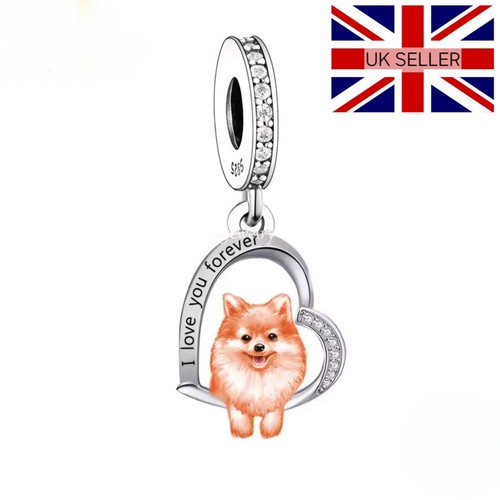 925 silver pomeranian - pomeranian, dog