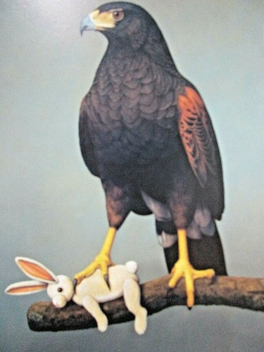 Harris hawk with rabbit tom - by,