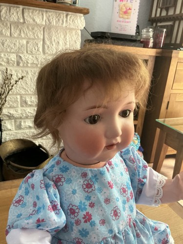 Large chunky 56cm - large, 22”