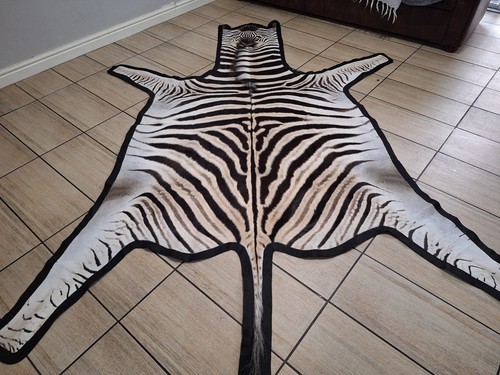Zebra hide skin - -, a