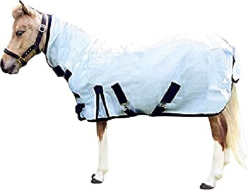 New mini shetland pony - new, mini/shetland/pony