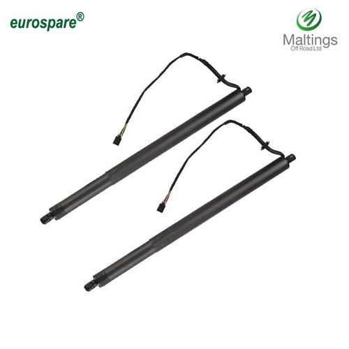 Rear tailgate struts - rear,