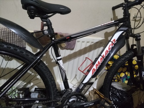Ammacco team 29er - team,