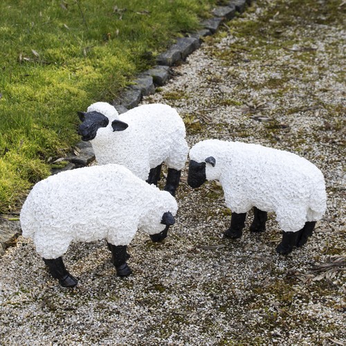 Set grazing sheep garden - grazing,