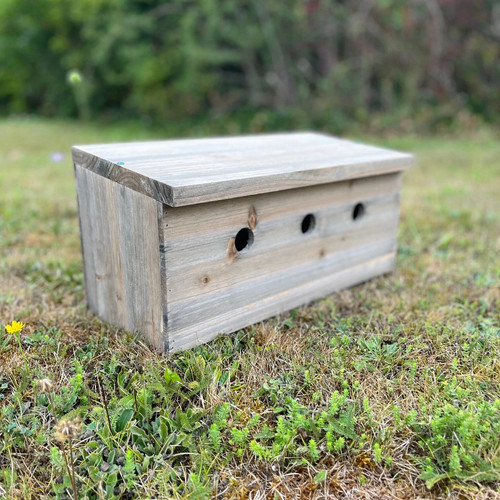 Sparrow nest bird box terrace - bird,