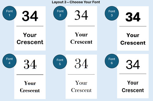 Custom bin labels - x,