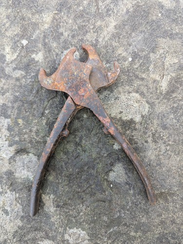 Vintage bull nose ring - bull,
