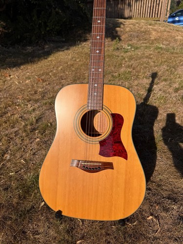 Tanglewood sundance tw12 - tanglewood,
