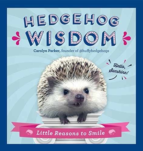 Hedgehog wisdom little - hedgehog,