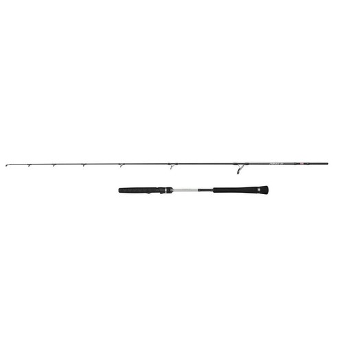Penn prevail iii light jigging - iii,
