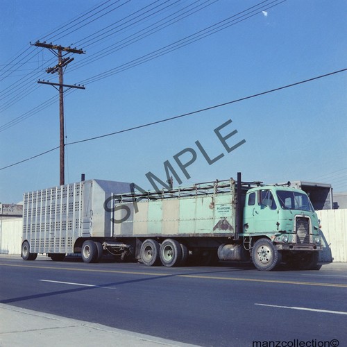 8x10 color semi - ,