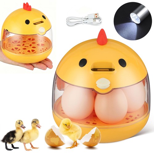 Egg incubator for hatching - egg,